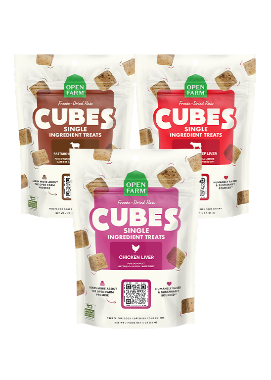 Freeze Dried Raw Treats Variety Pack for Dogs by Open Farm