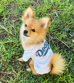Chico