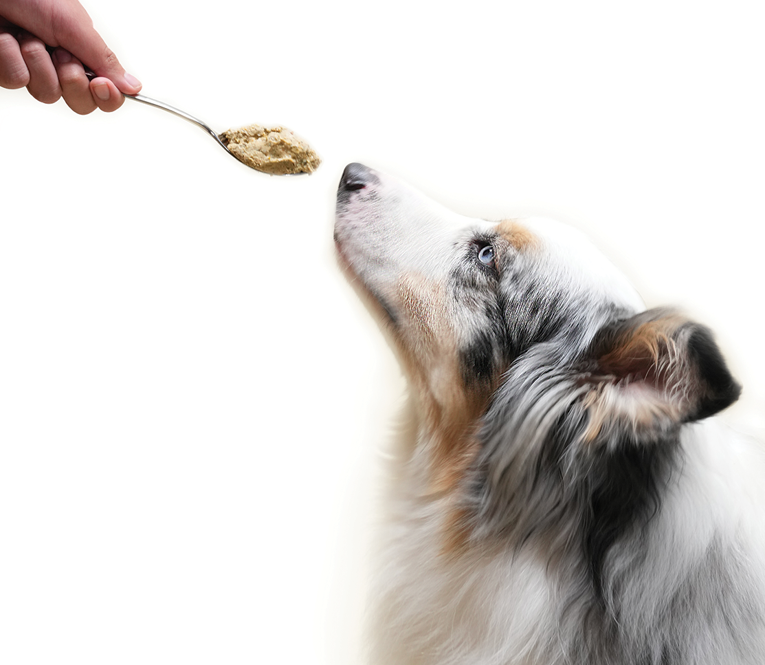 Grass-Fed Beef Grain-Free Freshly Crafted Dog Food