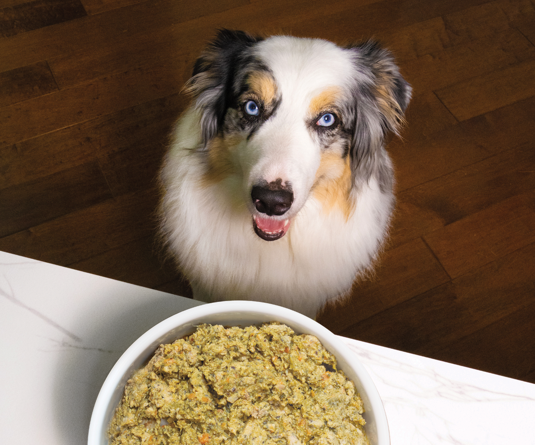 Gently Cooked Ground Turkey for Dogs - Open Farm Gently Cooked Ground Turkey for Dogs - Open Farm