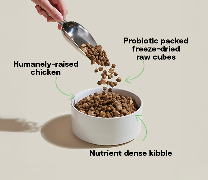 GoodGut Harvest Chicken Dog Kibble