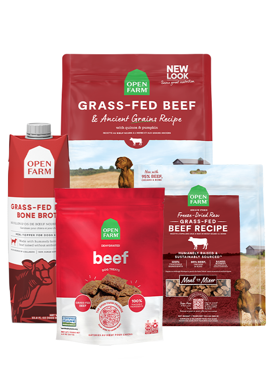 Grass-Fed Goodness Bundle by Open Farm