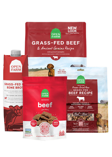 Grass-Fed Beef Bundle | Open Farm