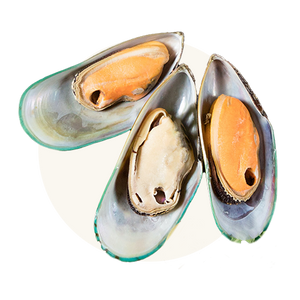 New Zealand Green Lipped Mussel