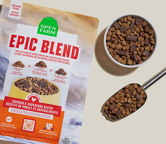 Epic Blend Chicken & Superfood Grain-Free Dog Kibble