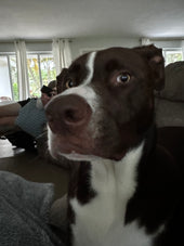 CHARLIE