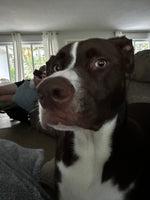 CHARLIE