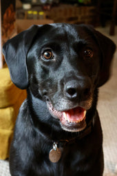 Opie