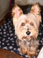 Paco