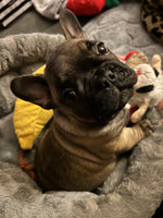 Sonny