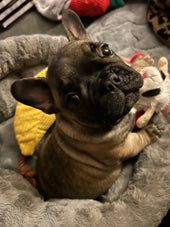 Sonny