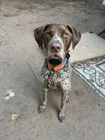 Remington 