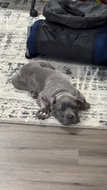 Blu