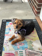 Etta Mae