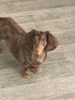 Trudy