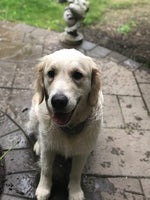 Remi