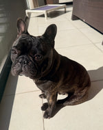 Hubert