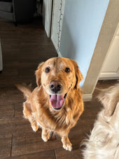 Kona