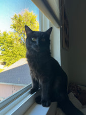 Atlas