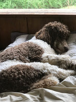 Sophie