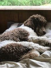 Sophie