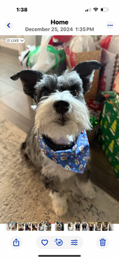 Finn