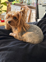 Ella