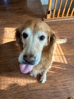 Bonnie