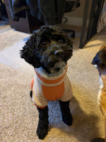 Eli