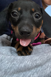 Matilda