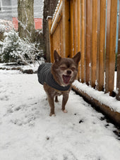 Roo