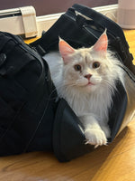 Hamish