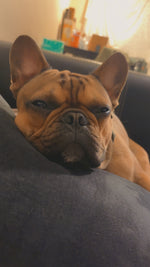 Jax