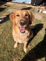 Lyla