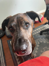 Sam