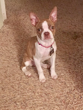 Kalei
