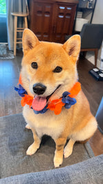 Sumo