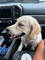 Colbie
