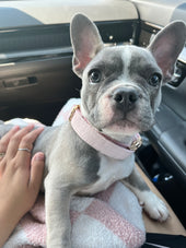 Stormi