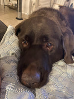 Cooper