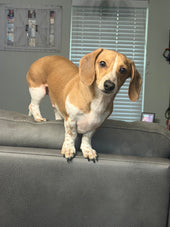 Murphy 