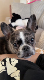 Lola