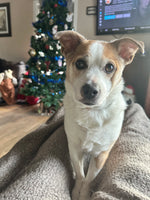 Bella