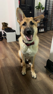 Odin