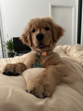 Winnie