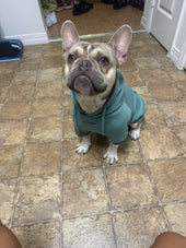 Paco