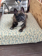 Petey
