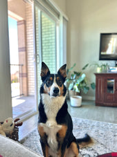 Beau