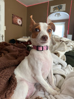 Olive Jane