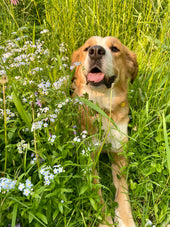 Maggie